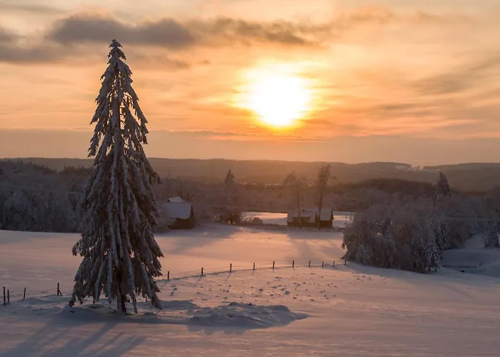 Dr Irena Eris Wzgorza Dylewskie - Siedliska *